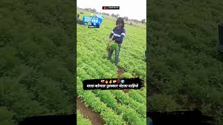 याला कोणता पुरस्कार भेटला पाहिजे farming livebigagency 4rabetind [upl. by Sitoeht435]