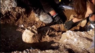 Digging for Britain 2of4 Prehistory Documentary [upl. by Hodges29]