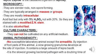 Case presentation of CNS Module Microbiology wmvدراسة حالة ميكروبيولوجي الفرقة الثانيه [upl. by Adiesirb120]