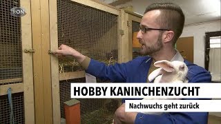 Hobby Kaninchenzucht  RON TV [upl. by Anawat]