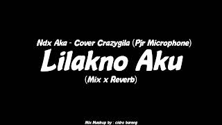 Lilakno Aku  Ndx Aka  Cover Crazygila  Pjr Microphone Mix x Reverb CIDRO BARENG🎧 [upl. by Kovacev]