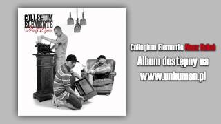 08 Collegium Elemente  Nie obchodzi mnie  feat Kobra bit SoDrumatic [upl. by Eicnarf]