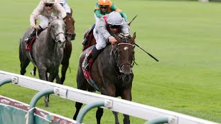 TREVE wins the 2013 Qatar Prix Vermeille Gr1 [upl. by Gala463]