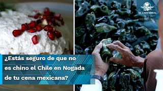 Receta del Chile en Nogada en peligro productores preservan las semillas de los ingredientes [upl. by Olemrac112]