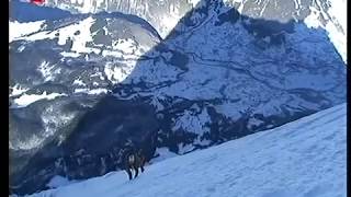 Ueli Steck Neuer Speed Rekord am Eiger [upl. by Naugan]