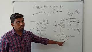 Address Bus amp Data Bus in Microprocessor  S Vijay Murugan  Learn Thought [upl. by Alsworth]