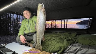 Giant Rainbow Trout Catch and Cook  Riverside Truck Camping [upl. by Byers]