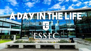 A day in the life at ESSEC Business School [upl. by Eniamrej]