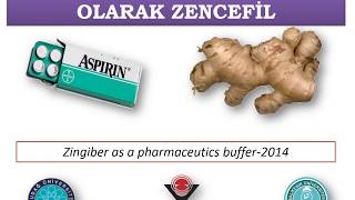 TUBİTAK2014ZENCEFİL PROJESİ [upl. by Aidole]