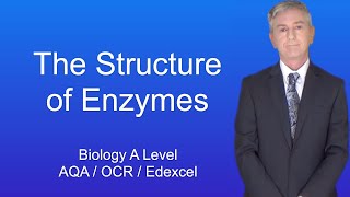 A Level Biology Revision quotThe Effect of Substrate Concentration and Enzyme Concentration on Enzymesquot [upl. by Names]