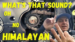 Himalayan Top 10 Checks  2021 Himalayan Issues with the Drivetrain Fix the Noise and Ten Steps [upl. by Herold]