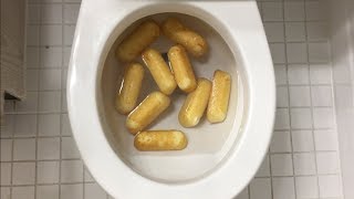 Will it Flush  Hostess Twinkies [upl. by Hafinah381]