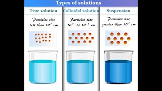 Types of Colloids and Their Properties [upl. by Erbe313]