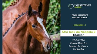 Afro Jack de Nespola Z – Foals amp Embryo’s Online Auction – Paardenveilingonlinecom [upl. by Reivaz]