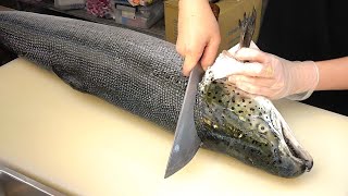 How To Fillet a Whole Salmon  Sashimi amp Sushi Taiwanese street food [upl. by Abraham274]