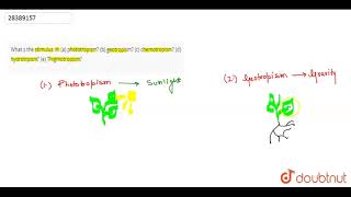 What s the stimulus in a phototropism b geotropism c chemotropism d hy [upl. by Roselani]