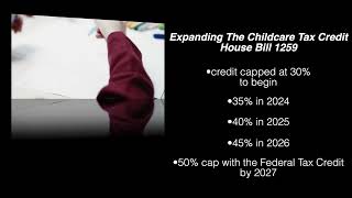 Williams Expanding Childcare Tax Credit [upl. by Seto39]