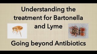 The Best Approach to Recover From Acute and Chronic Lyme Disease or a Bartonella Infection [upl. by Aihsenet]