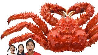 King crab 킹크랩 Mukbang TwinRoozi 쌍둥이루지 먹방 조안나 언니 [upl. by Enomal315]