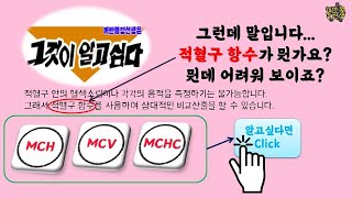 일반 혈액 검사 해석  CBC  적혈구 항수  MCV  MCH  MCHC  RDW [upl. by Yaj]