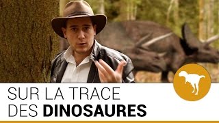 SUR LES TRACES DES DINOSAURES  Origine 05 [upl. by Assille797]