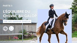 SEAVER x IBR Dressage  Séance 5  Parfaire léquilibre au galop grâce aux hanches en dedans [upl. by Oiratno]