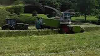 Cutting Whole Crop Triticale With a Claas 900 [upl. by Lahey18]