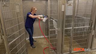 Shelter Medicine Deep Cleaning For Dog Kennels [upl. by Atinahc783]