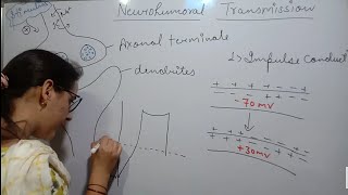 NEUROHUMORAL TRANSMISSION [upl. by Wenn]