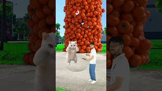 Xiaoyige Special Effects September bunch of tomatoes falling decompression video visual effects [upl. by Hairym979]