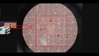 Hemocytometer  Counting of cells  Amrita University [upl. by Clark]