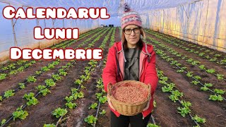 Calendarul lunii decembrie în gradina de legume și întreținerea plantelor de apartament [upl. by Ayotahs]