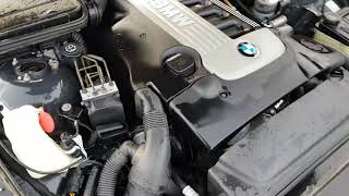 BMW 530d E39 Engine sound [upl. by Byrn884]