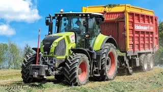 New Axion810 et Schuitemaker Rapide580  Ensilage à lAutochargeuse [upl. by Lorianne246]