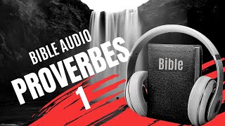 PROVERBE 1  LA BIBLE AUDIO avec textes [upl. by Stockwell]