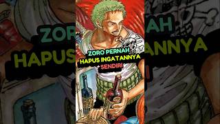 Zoro Hapus Ingatannya anime reviewanime onepiece [upl. by Jacenta315]