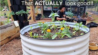 DOLLAR store PLANTERS BUDGETFRIENDLY diyplanters [upl. by Idolla]