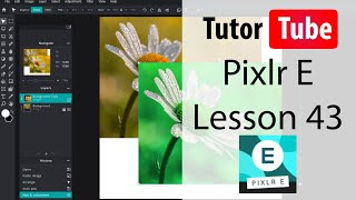 Pixlr E Tutorial  Lesson 43  Free Distort [upl. by Yaresed]