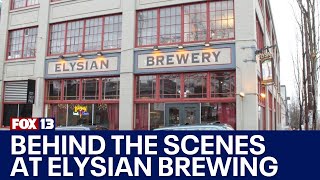 Behind the scenes at Elysian Brewing  FOX 13 Seattle [upl. by Abba]