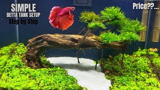 Best Fish Tank For Betta Fish How To Grow Aquatic Plants in Aquarium Diy Aquascape For Betta Fish [upl. by Ednew]