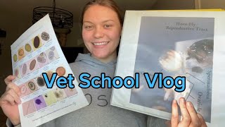 Vet School Vlog  2nd year vet student [upl. by Nedle]