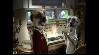 Compare the meerkat com Bloopers [upl. by Dolf300]