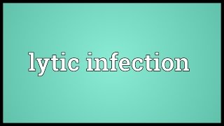 Lytic infection Meaning [upl. by Garfinkel]