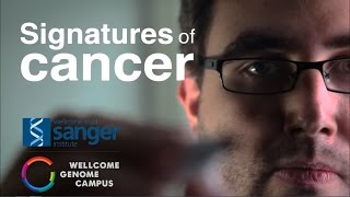 Signatures of cancer  Sanger Institute [upl. by Elrae465]