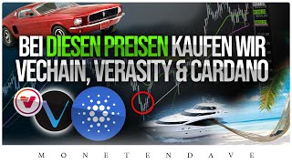 Achte auf DIESE Daten amp Ziele bei VeChain  Cardano  Bitcoin amp Verasity ⚠️  Crypto News [upl. by Zeph350]