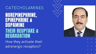 Sympathomimetics II Catecholamine reuptake degradation amp interaction with adrenergic receptors [upl. by Iredale]