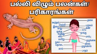 பல்லி விழும் பலன்கள்பரிகாரங்கள் Palli Vizhum Palangal Parigarangal [upl. by Gordy]