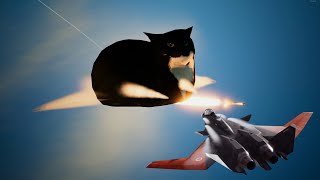 Ace Combat 7 Skies Unknown  Maxwell the Cat vs Mister X [upl. by Cuthbert]