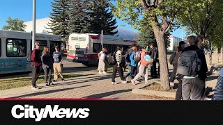 Calgary students say overcrowding a major issue on city transit bus route [upl. by Nirat]