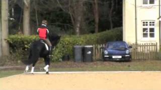 WOW Saddles  Wayne Channon tries a WOW Saddle [upl. by Agler]